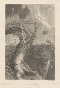 Der Wirbelwind von Edward Gallaudet, after Thomas Cole