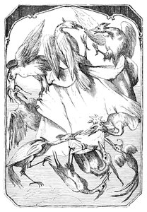 Die Eselkohlköpfe, 1901