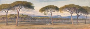 Ein Blick auf die Kiefernwälder über Cannes von Edward Lear