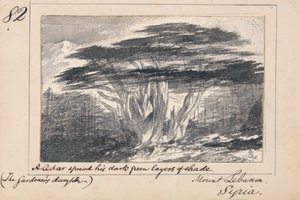 Berg Libanon, Syrien - Eine Zeder breitet seine dunkelgrünen Schichten von Schatten aus von Edward Lear
