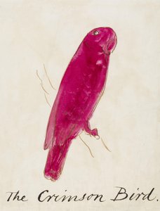 Der Purpur-Vogel, aus Sechzehn Zeichnungen komischer Vögel von Edward Lear