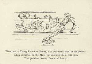 Es war eine junge Person aus Bantry, die häufig in der Speisekammer schlief von Edward Lear