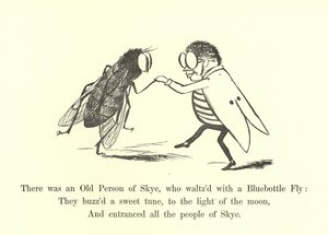 Es war eine alte Person von Skye, die mit einer Schmeißfliege walzte von Edward Lear