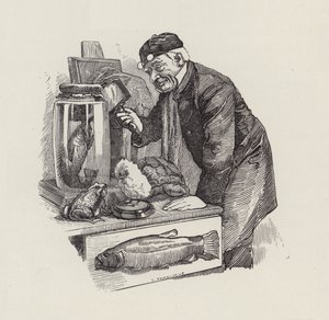 Illustration für Die Wasserkinder von Charles Kingsley von Edward Linley (after) Sambourne