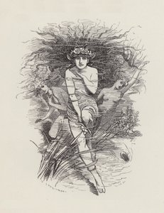 Illustration für Die Wasserbabys von Charles Kingsley von Edward Linley (after) Sambourne