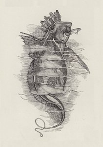 Illustration für Die Wasserkinder von Charles Kingsley von Edward Linley (after) Sambourne