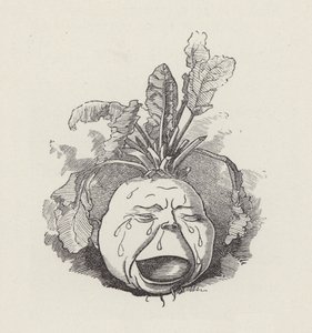 Illustration für Die Wasserkinder von Charles Kingsley von Edward Linley (after) Sambourne