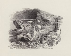 Illustration für Die Wasserkinder von Charles Kingsley von Edward Linley (after) Sambourne