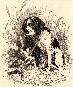 William GGV Vernon Harcourt (1827-1904) von Edward Linley Sambourne