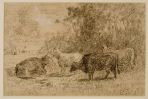 Landschaft mit vier Kühen, ca. 1880er (Kohle auf Papier)