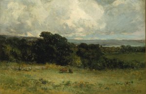 Angenehme Weiden