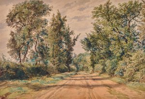 Landschaft mit Straße