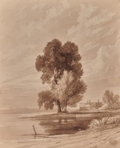 Landschaft mit Bäumen von Edward Pretty