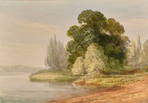 Landschaft mit Bäumen von Edward Pretty