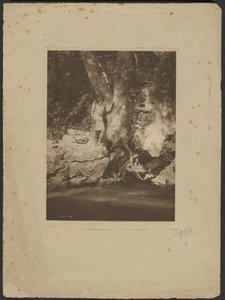 Apache-Schwarzer Fluss (Bei der Platane)