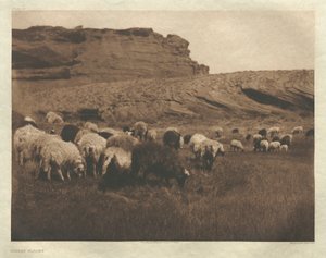 Portfolio I, Tafel 33: Navaho-Herden von Edward S. Curtis