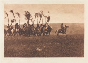 Portfolio VI, Platte 205: Bringen der Schwitzhütten-Weiden - Piegan von Edward S. Curtis