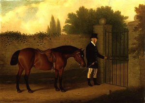 Ein Gentleman führt einen Welsh Cob an einem Gartentor