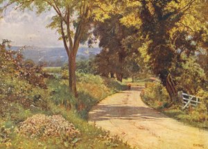 Mein Weg