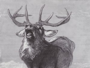 Eine Herausforderung von Edwin (after) Landseer