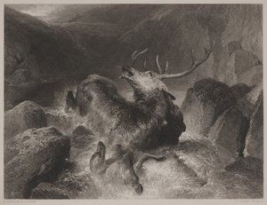 Tod des Hirsches, graviert von John Cousen (1804-80) von Edwin (after) Landseer