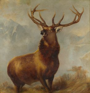 Monarch des Glen