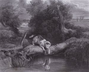 Der Hund und der Schatten von Edwin (after) Landseer