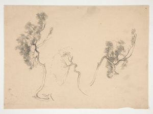 Skizzen von Zweigen von Edwin Austin Abbey