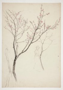 Studie einer Figur unter einem blühenden Baum von Edwin Austin Abbey