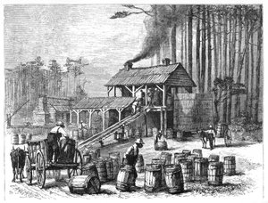 Terpentin-Destillerie, North Carolina, 1870