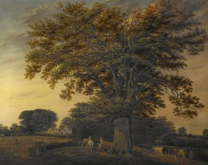 Die Binley-Eiche, 1848
