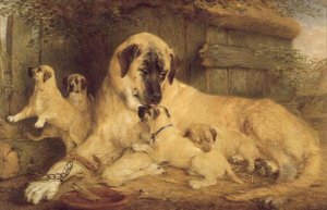 Eine Berührung der Natur macht die ganze Welt verwandt von Edwin Frederick Holt