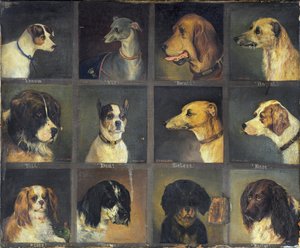 Zwölf Lieblingshunde, 1883