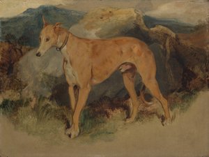 Ein Hirschhund, 1826 von Edwin Landseer