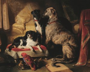 Hector, Nero und Dash mit dem Papagei Lory von Edwin Landseer