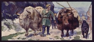 Ein tibetischer Yak-Zug