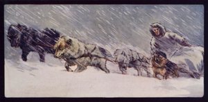 Ein Eskimo-Schlittenhundeteam