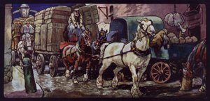 Clydesdale-Pferde bei der Arbeit
