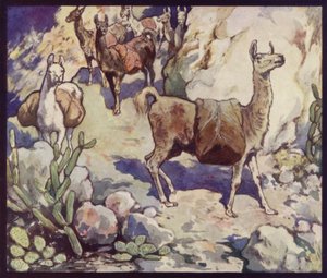 Lamas in den Anden (Farblithografie) von Edwin Noble