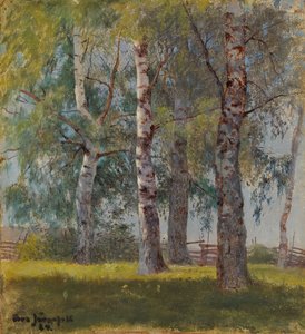 Birken von Eero Järnefelt