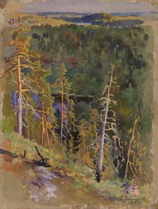 Waldlandschaft von Eero Järnefelt