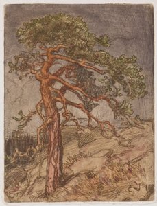 Kiefer auf einem Felsen von Eero Järnefelt