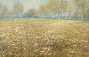 Blühende Wiese von Egbert Rubertus Derk Schaap