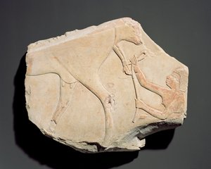 Fragment eines Reliefs, das die Geburt eines Kalbes darstellt, aus Asasif, Theben, Dritte Zwischenzeit von Egyptian