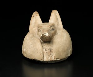 Schakalköpfiger Deckel eines Kanopenkrugs von Egyptian