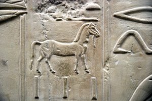 Ägyptische Antiquität: Darstellung eines Pferdes. Flachrelief aus dem Grab des Wesirs Ramose (18. Dynastie). Luxor, Theben, Tal der Adligen Ägypten von Egyptian 18th Dynasty