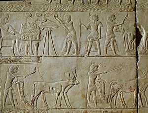 Ägyptische Antike: Szenen der Feldarbeit und Opfergaben an den Pharao. Detail eines Reliefs aus dem Grab von Horemhed (ca. 1323-1293 v. Chr.), königlicher Schreiber von Tutanchamun. 1354-1326 v. Chr. Bologna, Civico Museo Archeologico von Egyptian 18th Dynasty