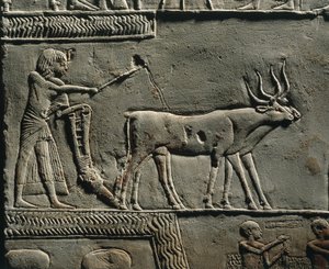 Horemheb pflügt Land in den Feldern von Iaru. Relief aus dem Grab von Horemheb in Saqqara (Detail) von Egyptian 18th Dynasty