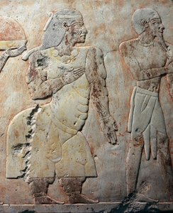 Königin von Punt, Detail der Szene, die die Expedition ins Land Punt darstellt, bemaltes Relief, Kolonnade von Punt, Totentempel von Hatschepsut, Deir el-Bahari, Nekropole von Theben (UNESCO-Welterbeliste) von Egyptian 18th Dynasty