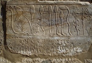 Relief von Tieren und Pflanzen, die Amun von Thutmosis III. nach seiner Rückkehr aus dem Syrienfeldzug 1465 v. Chr. angeboten wurden, Botanischer Gartenraum, Karnak, Thebanische Nekropole, Luxor, Ägypten, Neues Reich, 18. Dynastie